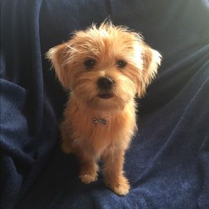 Meet your Posher, Tammy